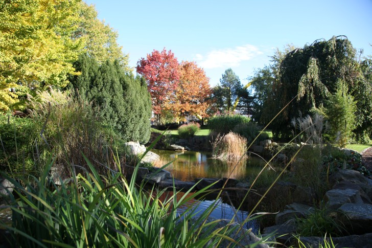 Blick auf den japanischen Garten