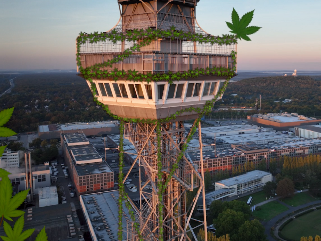 Der obere Teil des Funkturms mit Hanfblättern umrankt.
