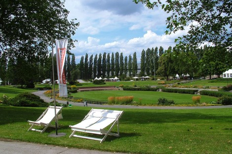 Summer Garden