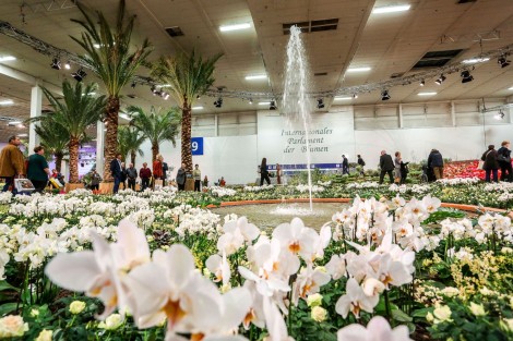 Hall 9