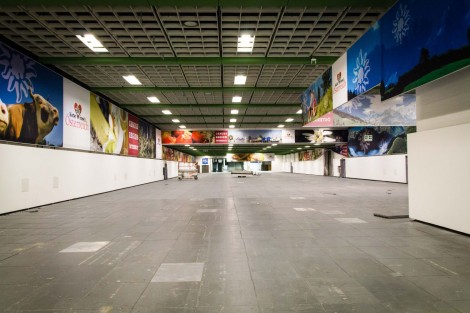 halle15-1_3