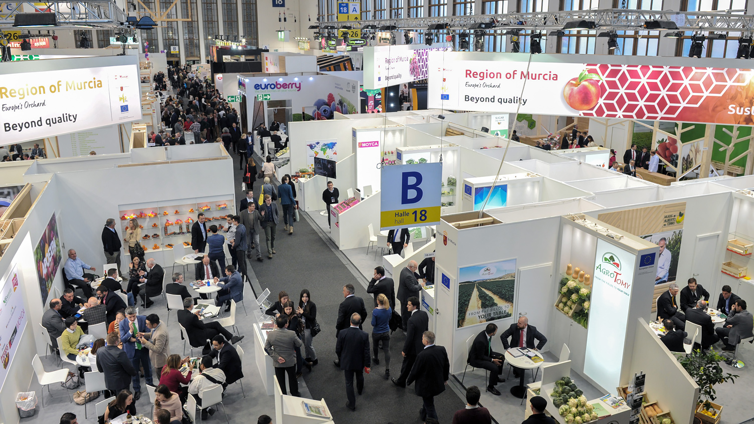 Halle18_Fruit